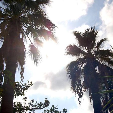 Il Giardino Del Sole Villa Agnone Bagni Kültér fotó