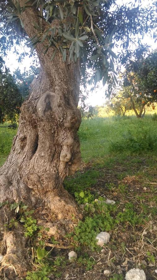 Il Giardino Del Sole Villa Agnone Bagni Kültér fotó