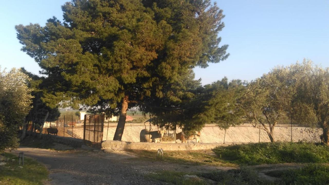 Il Giardino Del Sole Villa Agnone Bagni Kültér fotó