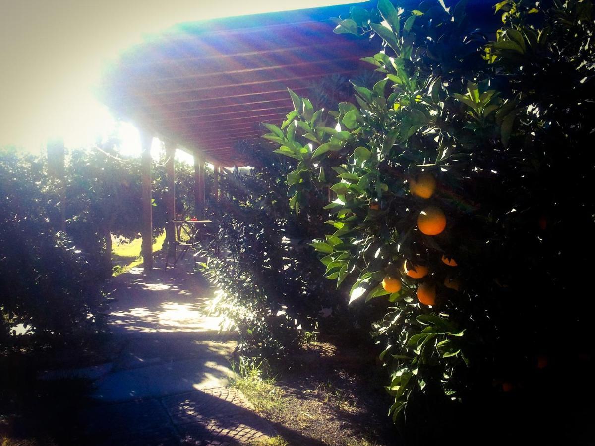 Il Giardino Del Sole Villa Agnone Bagni Kültér fotó