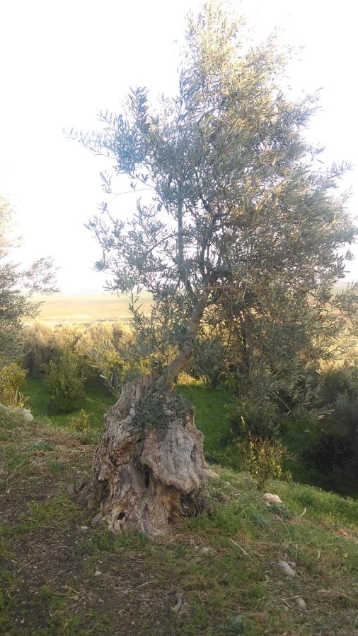 Il Giardino Del Sole Villa Agnone Bagni Kültér fotó