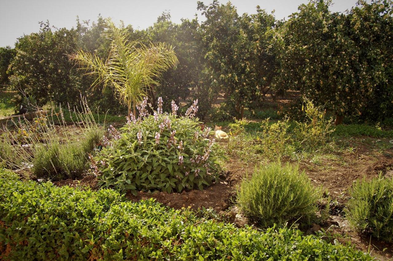 Il Giardino Del Sole Villa Agnone Bagni Kültér fotó